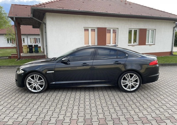 Jaguar XF cena 35900 przebieg: 220000, rok produkcji 2014 z Skawina małe 67